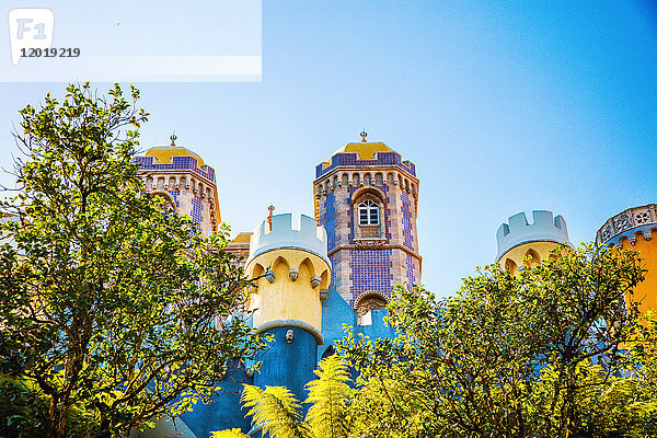 Tauchgang mit Blick auf den Pena National Palace  Sintra  Region Lissabon  Portugal