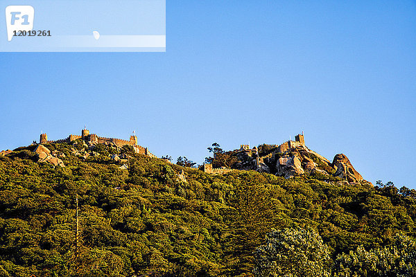 Tauchgang mit Blick auf die maurische Burg  Sintra  Lissabon  Portugal.