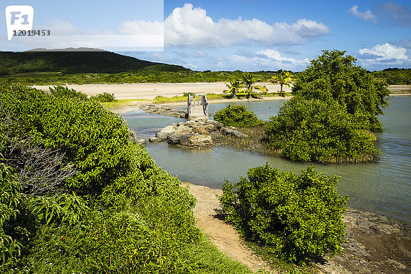 Savane des Petrifications  Martinique  Frankreich