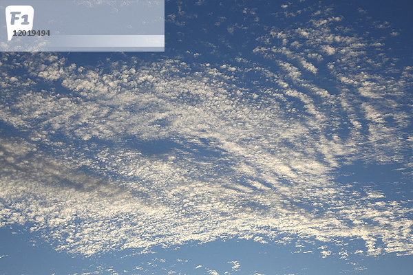 Normandie. Manche. Annoville sur Mer. Wolken altocumulus floccus bei Sonnenuntergang.