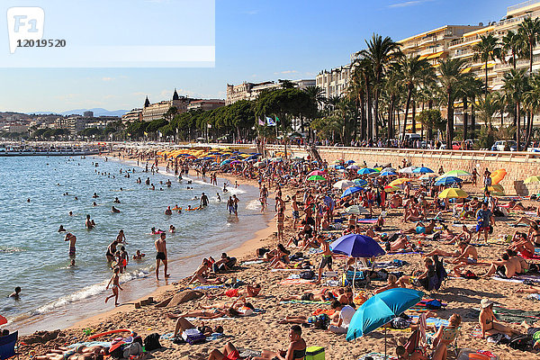 Frankreich  französische Riviera. Cannes. Öffentlicher Strand.