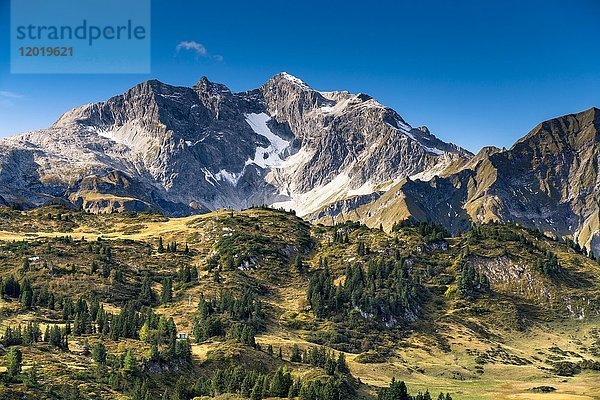 Blick vom Hochtannbergpass auf die Braunarlspitze  2649 m  Vorarlberg  Österreich  Europa