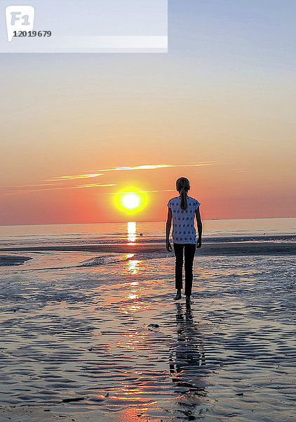 Normandie  junges Mädchen von hinten gesehen  das an einem Strand in der Sonne spazieren geht