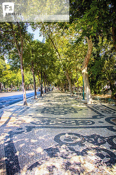 Gegen die Allee Avenida da Liberdade   Lissabon  Portugal