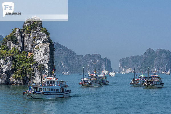 Vietnam  Ha Long Bay  Spaziergang mit Booten inmitten von Inseln (UNESCO-Welterbe)