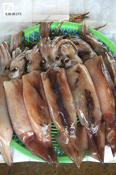 Südkorea  Busan. Fischmarkt. Jagalchi-Markt