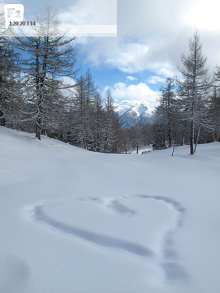 Österreich Nordtirol Stubaier Alpen  Eulenwiesen ein großes Herz wird im Neuschnee in einem Lärchenwald gezeichnet