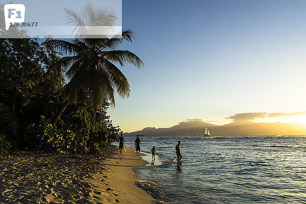 Menschen am Strand bei Sonnenuntergang  Insel Gosier  Guadeloupe  Frankreich