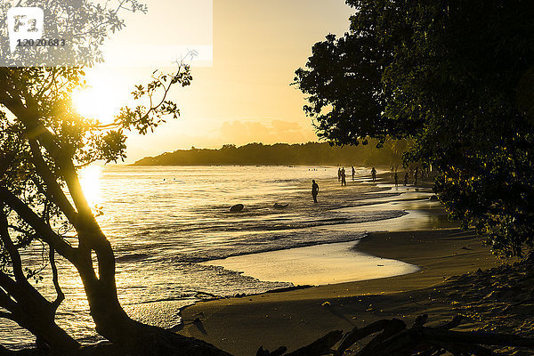 Sonnenuntergang am Strand der Saline  Martinique  Frankreich