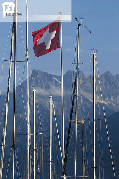 Schweiz  Kanton Waadt  Region Leman  Vevey  der Yachthafen