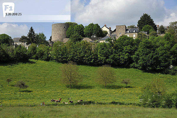 Frankreich  Region Pays de la Loire  Departement Mayenne  mittelalterliches Dorf Sainte-Suzanne  Schlossturm und Festungsmauern.
