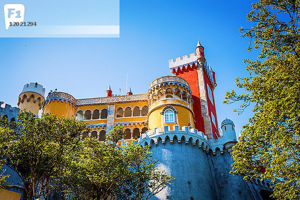 Tauchgang mit Blick auf den Pena National Palace  Sintra  Region Lissabon  Portugal