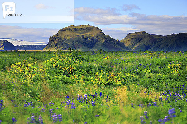 Island  Sudurland. En Hintergrund Myrdalsjokull