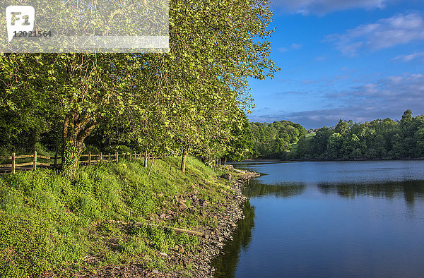 Normandie  Manche  Vezins-Stausee