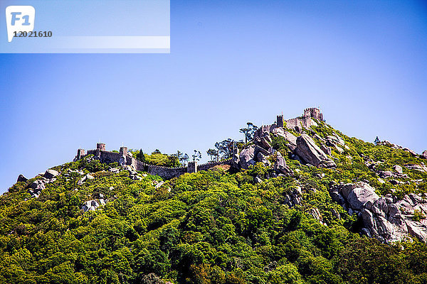 Tauchgang mit Blick auf die maurische Burg  Sintra  Lissabon und Umgebung  Portugal