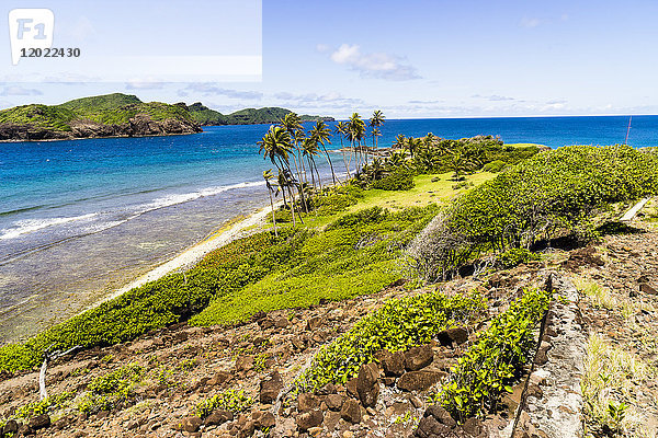Landschaft mit Kokospalmen  Felsen und Meer  Petit Nevis  Saint-Vincent und die Grenadinen  Westindische Inseln