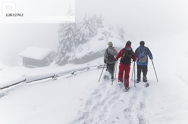 Schweiz  Bezirk Graubünden  drei Personen  die an einem verschneiten Tag mit Schneeschuhen um das Dorf Kolsters wandern (Modelle Freigabe ok)