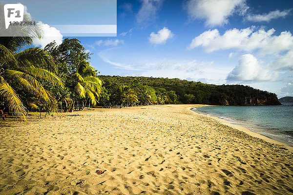 Der Strand der Saline Bay  Mayreau  Saint-Vincent und die Grenadinen  Westindische Inseln