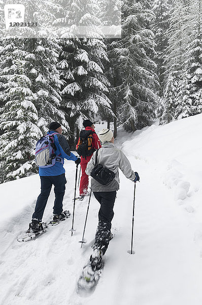Schweiz  Bezirk Graubünden  Schneeschuhwandern rund um das Dorf Kolsters (Modelle Freigabe ok)