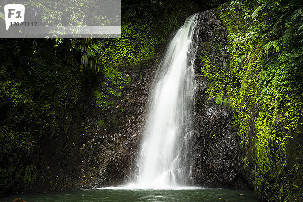 Wasserfall der sieben Schwestern  Grenada  Westindien