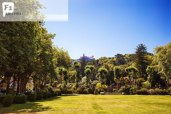 Pena National Palace vom Garten des Tivoli Seteais Palace aus  Sintra  Lissabon und Umgebung  Portugal