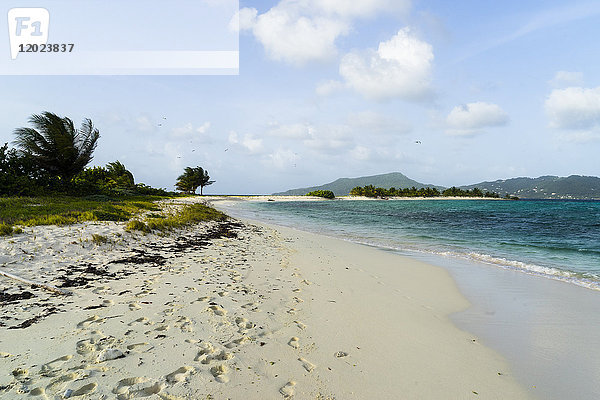 Reservat  Sandy Island  Carriacou  Westindien