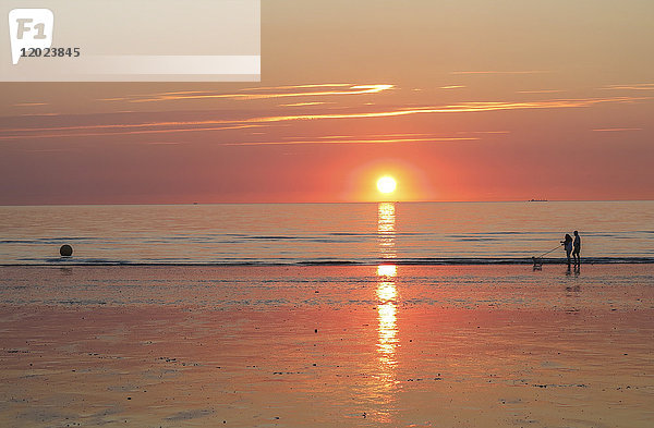 Normandie  Ouple mit Hund im Hintergrund beim Spaziergang in der Sonne am Strand