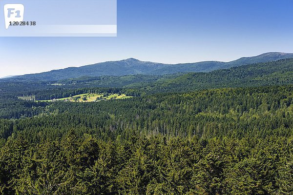 Blick vom Baumkronenpfad Bayerischer Wald bei Neuschönau  auf der Rückseite des Großen Rachel  Nationalpark Bayerischer Wald  Niederbayern  Bayern  Deutschland  Europa