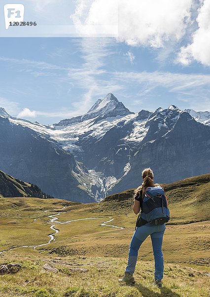 Wanderer schaut in die Ferne  Bach  Grosses Fiescherhorn  Eiger  Mönch  Jungfrau  Grindelwald  Bern  Schweiz  Europa