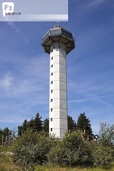 Hochheideturm  Aussichtsturm auf dem Ettelsberg  Willingen  Rothaargebirge  Sauerland  Hessen  Deutschland  Europa