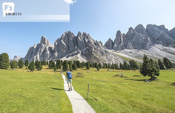 Wanderer auf dem Wanderweg bei der Gschnagenhardt Alm  Villnösstal unterhalb der Geislerspitzen  hinter der Geislergruppe  Sass Rigais  Dolomiten  Südtirol  Italien  Europa