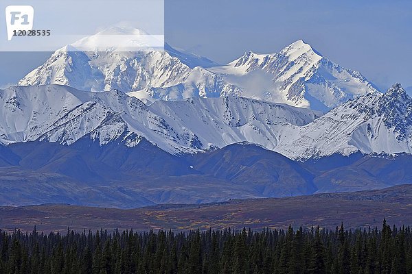 Mount McKinley mit Schnee  gesehen vom Broad Pass  Alaska Range  Cantwell  Alaska  USA  Nordamerika