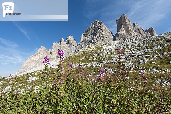 Drei Zinnen  Sextner Dolomiten  Südtirol  Trentino-Südtirol  Südtirol  Italien  Europa