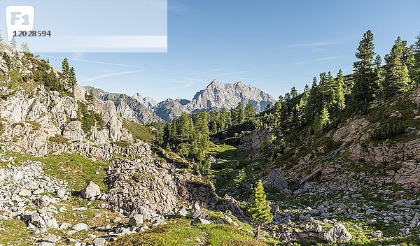 Blick auf den Watzmann  Wanderweg zum Königssee und zur Wasseralm  nahe dem Kärlinger Hausl  Nationalpark Berchtesgaden  Bayern  Deutschland  Europa