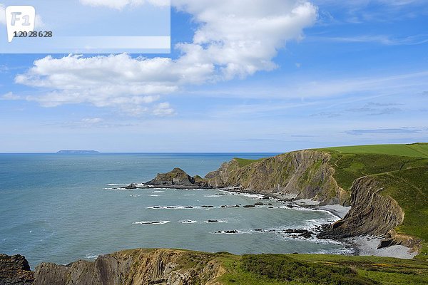 Felsenküste  nahe Hartland Quay  Hartland  Insel Lundy  Devon  England  Großbritannien