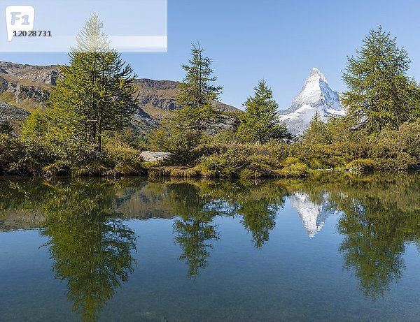 Schneebedecktes Matterhorn spiegelt sich im See  Grindijsee  Wallis  Schweiz  Europa
