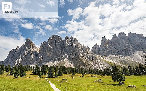 Wanderweg bei der Gschnagenhardt Alm  hinter den Geislerspitzen  Villnösstal  Sass Rigais  Dolomiten  Südtirol  Italien  Europa