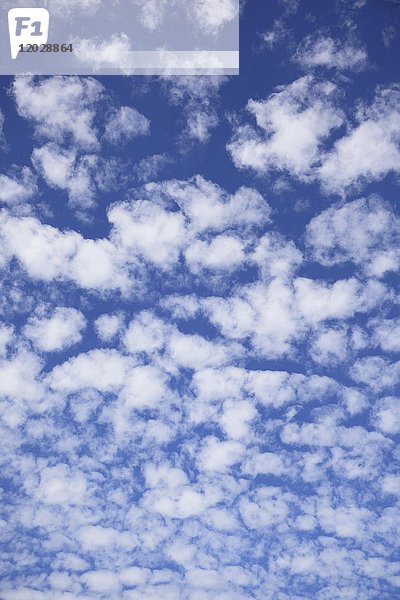 Cirrocumulus  Schäfchenwolken  Wolken einer Schlechtwetterfront  Österreich  Europa