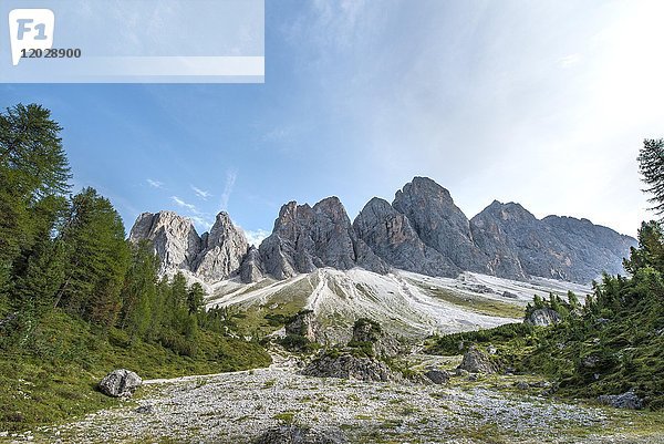 Wanderweg zur Geisler Alm  Villnösstal unterhalb der Geislerspitzen  hinter Geislergruppe  Sass Rigais  Dolomiten  Südtirol  Italien  Europa
