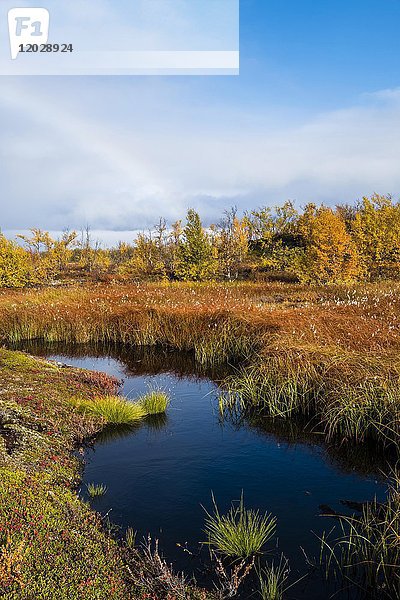 Kleiner See in herbstlicher Landschaft  Norrbottens  Norrbottens län  Laponia  Lappland  Schweden  Europa