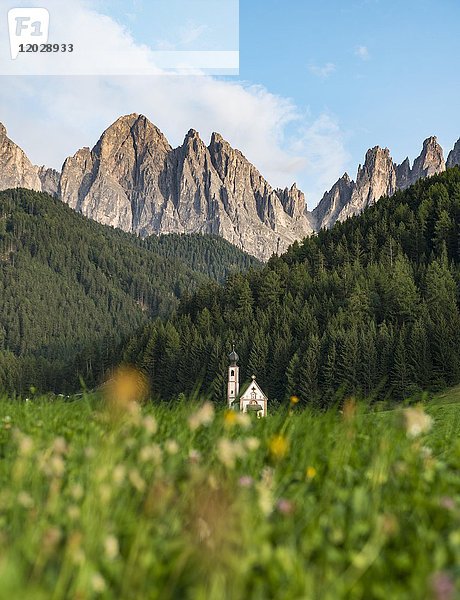 Blumen vor der Kirche St. Johann in Ranui  St. Johann  Johanniskapelle  Geisler Gruppe  Villnößal  St. Magdalena  Bozen  Südtirol  Italien  Europa