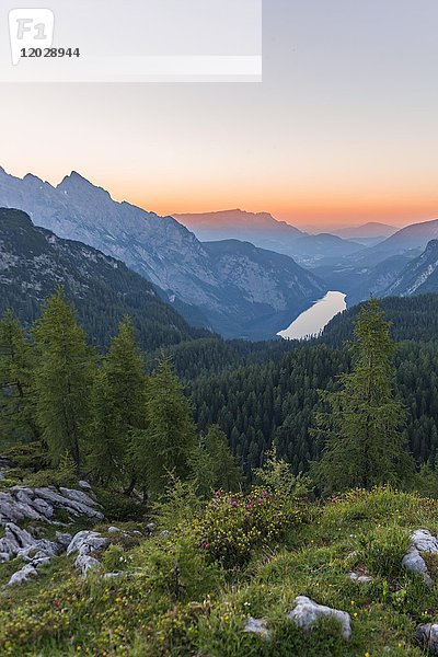 Panorama  Blick über den Königssee vom Feldkogel  links Watzmann Südspitze und Watzmann-Kinder  Sonnenuntergang  Nationalpark Berchtesgaden  Berchtesgadener Land  Oberbayern  Bayern  Deutschland  Europa