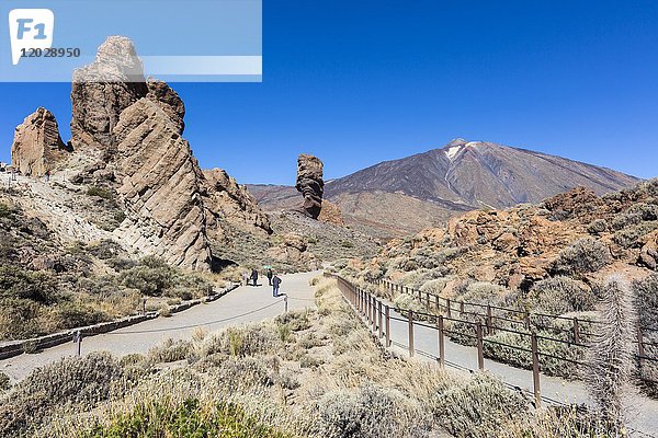 Wanderwege im Teide-Nationalpark  hinter dem Vulkan Teide  Teneriffa  Kanarische Inseln  Spanien  Europa