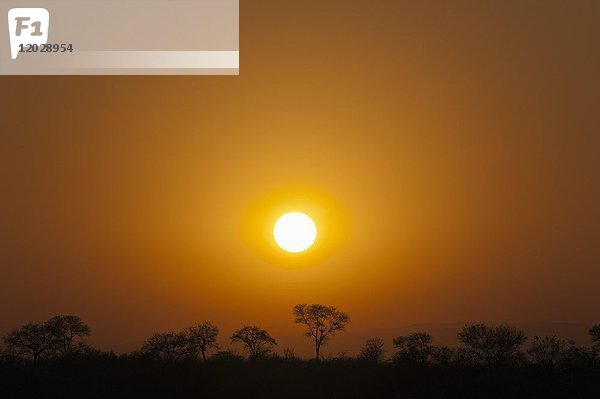 Sonnenuntergang über der Savanne  Kruger National Park  Südafrika  Afrika