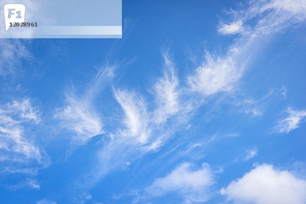 Blaue Wolken  Himmel  Cumulus humilis Wolke  Wolken  gutes Wetter