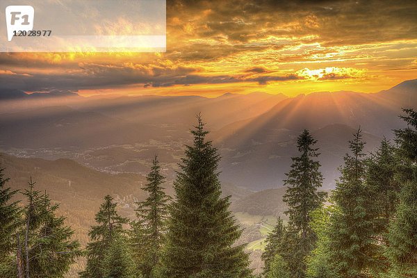 Alpenpanorama im Sonnenuntergang  im Vordergrund Nadelwald  Berchtesgadener Land  Deutschland  Europa