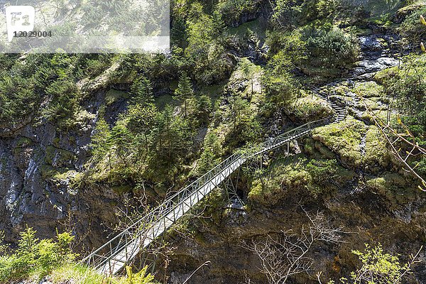 Stangensteig Wanderweg  Brücke als alternativer Wanderweg durch die Höllentalklamm  Garmisch-Partenkirchen  Oberbayern  Bayern  Deutschland  Europa