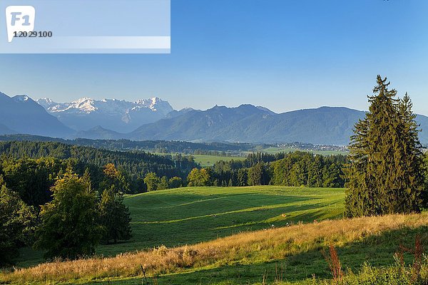 Morgensonne von der Aidlinger Höhe  über Murnau und Riegsee  Blick auf Wetterstein mit Zugspitze  Ettaler Mandl  Laber  Pfaffenwinkel  Oberbayern  Bayern  Deutschland  Europa