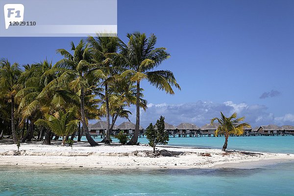 Kleine Halbinsel mit Kokosnusspalmen im türkisfarbenen Meer  hintere Anlage mit Wasserbungalows  Insel  Bora Bora  Gesellschaftsinseln  Französisch-Polynesien  Ozeanien