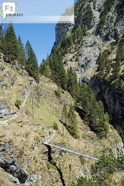 Stangensteig Wanderweg  Brücke als alternativer Wanderweg durch die Höllentalklamm  Garmisch-Partenkirchen  Oberbayern  Bayern  Deutschland  Europa